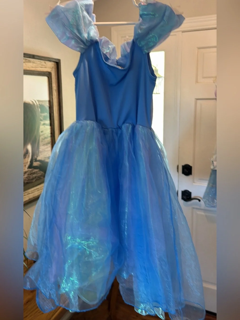 Disney Blue Shimmer Princess Dress Costume